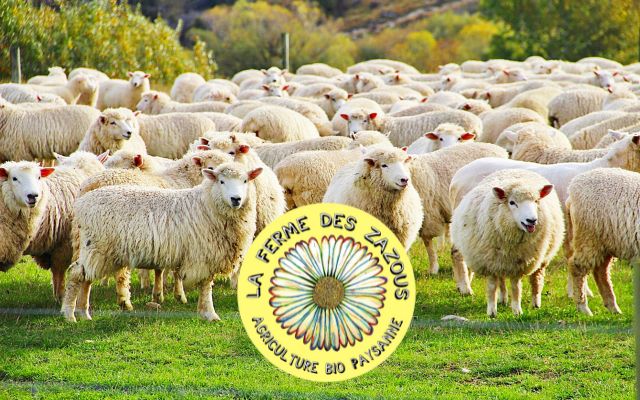 Ferme des Zazous