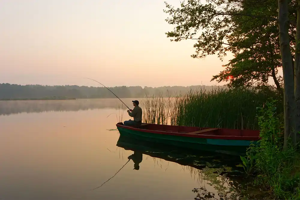 Pêche étang