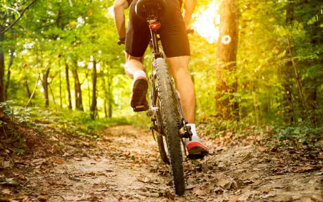 VTT Tarn